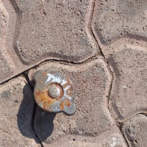 Toyota Tazz water cap – main product image