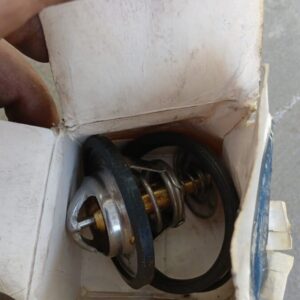 Thermostat | Brits Brothers Parts