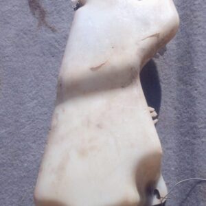 2002 Mazda Etude Washer Bottle – Used – main product image