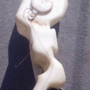 1997 Daewoo Cielo Washer Bottle – Used – main product image