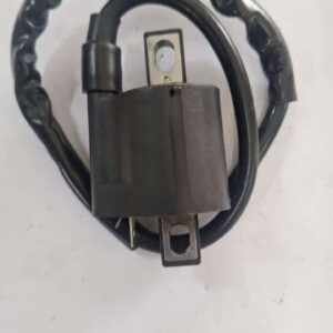 CG HT/ Ignition Coil