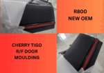 Chery Tiggo Right Door Moulding | Brits Brothers Parts