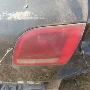 Close-up view of a dirty red car taillight attached to the rear of a black vehicle, with some thin, dry vegetation in the foreground.