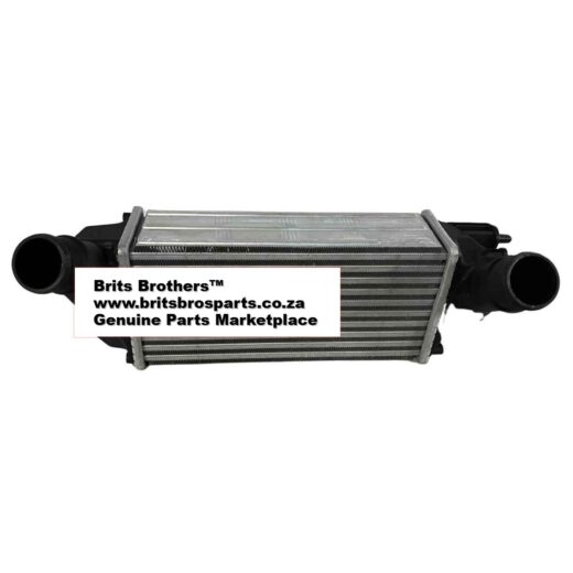 Ford Ecosport Intercooler 13 (1.0T, AT) – front view