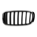 BMW X5 E70 LHS Kidney Grill 07 13 (Blk,W/Chrome) – main product image