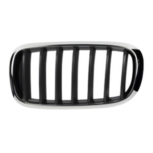 BMW X5 E70 LHS Kidney Grill 07 13 (Blk,W/Chrome) – main product image