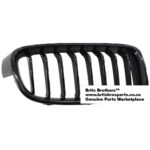 BMW F30 RHS Kidney Grill 12 (BLK) – main product image