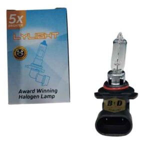 9005 12V Globe – main product image