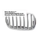 BMW X5 E70 RHS Kidney Grill 07 13 (Silver,W/Chrome) – main product image
