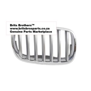 BMW X5 E70 RHS Kidney Grill 07 13 (Silver,W/Chrome) – main product image