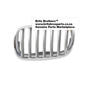 BMW X5 E70 LHS Kidney Grill 07 13 (Silver,W/Chrome) – main product image