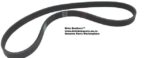 V-Belt Ribbed (Arrowhead) (Volkswagen Golf IV / Jetta IV) auto part product photo