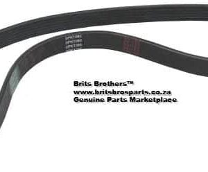 V-Belt Ribbed (Arrowhead) (Volkswagen Golf IV / Jetta IV) auto part product photo