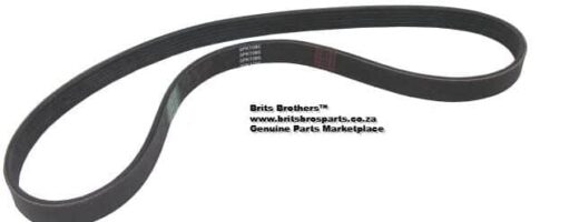 V-Belt Ribbed (Arrowhead) (Volkswagen Golf Iv / Jetta Iv) 1 V-Belt Ribbed (Arrowhead) (Volkswagen Golf IV / Jetta IV) auto part product photo