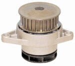 Water Pump (Skp) (1.4 1.6) (Volkswagen Polo 9N) auto part product photo