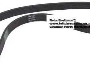V-Belt Ribbed (Arrowhead) (BMW / Opel / Nissan) auto part product photo