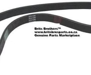 V-Belt Ribbed (Arrowhead) (Mercedes-Benz / Mitsubishi) auto part product photo