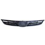 Grille (HYUNDAI i20 2009-2012) auto part product photo