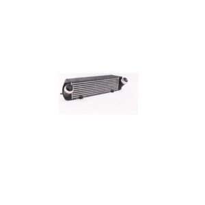Intercooler (316i/320i/320D N47N 2012-2019) (BMW 3 Series F30) auto part product photo