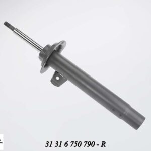 Spring Strut BMW E46 3 Series Std Suspension Front Right auto part product photo