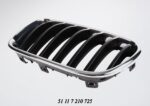 Bonnet Grille BMW F25 X3 Series Black With Chrome Frame Pre Lci Left auto part product photo