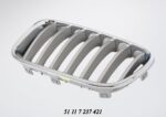 Bonnet Grille BMW F25 X3 Series Silver With Chrome Frame Pre Lci Left auto part product photo