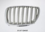 Bonnet Grille BMW E53 X5 Series Silver With Chrome Frame Lci Models Left auto part product photo