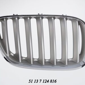 Bonnet Grille BMW E53 X5 Series Silver With Chrome Frame Lci Models Right auto part product photo