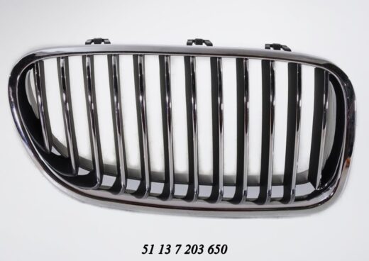 Bonnet Grille BMW F10 5 Series Pre Lci Models Right auto part product photo