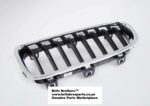 Bonnet Grille BMW F30 3 Series Sport Line Left auto part product photo