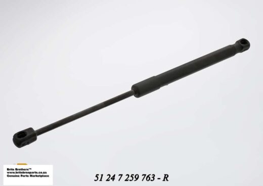 Damper Bmw F30 3 Series All Models Boot Lid 1 Damper BMW F30 3 Series All Models Boot Lid auto part product photo