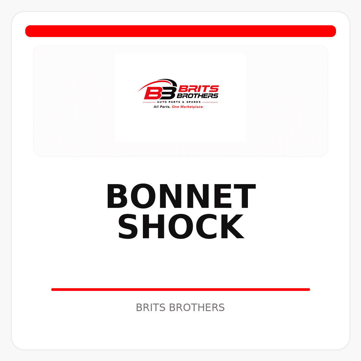 Bonnet Shock