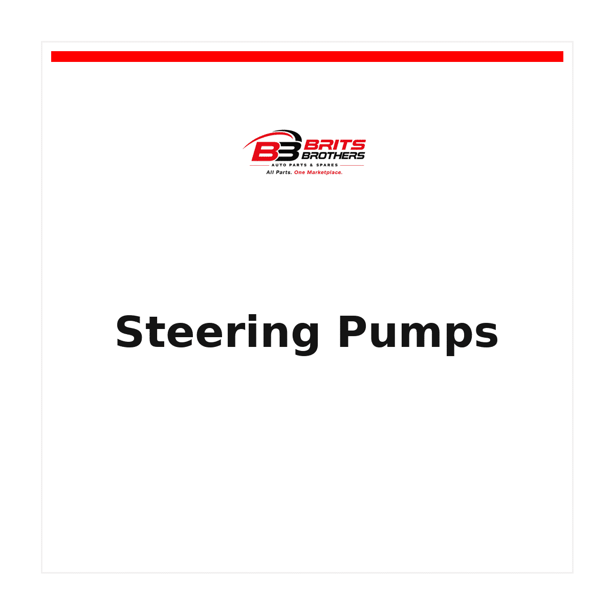 Steering Pumps