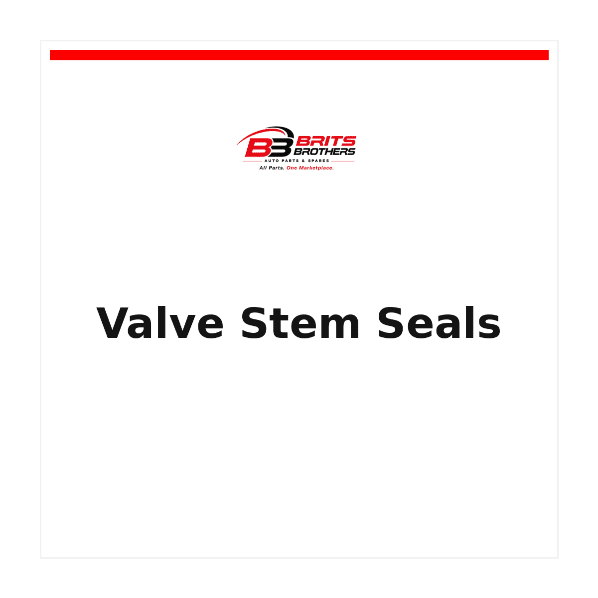 Valve Stem Seals