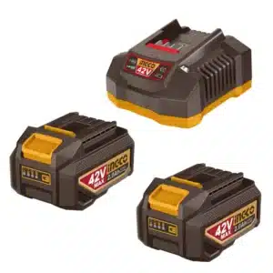 Ingco 42V Battery Combo | 2 x 2.0Ah + Charger | P42M - main product image
