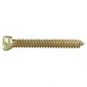 Ruwag Top Speed Screw 6x80mm (10) - main product image