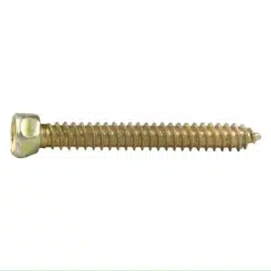 Ruwag Top Speed Screw 6x20mm (10) - main product image