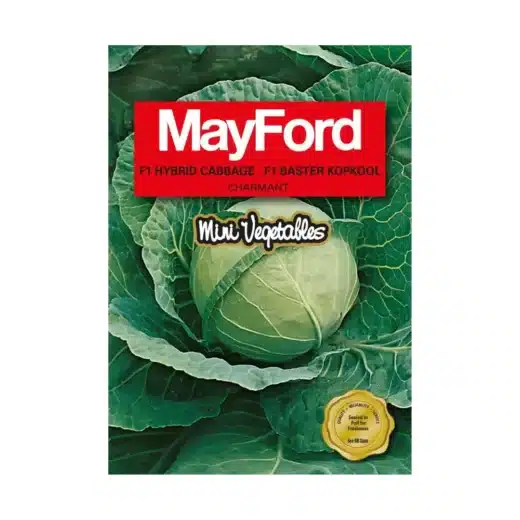 Mayford Vegetable Seeds | Mini Cabbage | Charmant 1 Mayford Vegetable Seeds | Mini Cabbage | Charmant - main product image