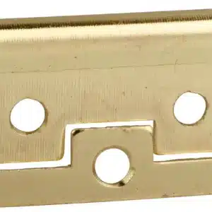 Ruwag Flush Hinge Brass Plated 100mm (2) - main product image