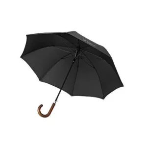 Umbrella Walking Stick with Wooden Handle STIHL auto part product photo