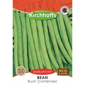 Vegetable Seed Bean Kirchhoffs auto part product photo