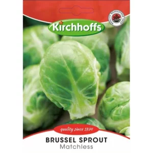Vegetable Seed Brussel Sprout Kirchhoffs auto part product photo