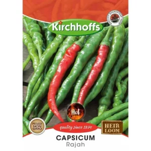 Vegetable Seed Capsicum's Kirchhoffs auto part product photo