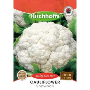 Vegetable Seed Cauliflower Kirchhoffs auto part product photo