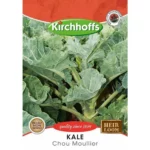 Vegetable Seed Kale Kirchhoffs auto part product photo